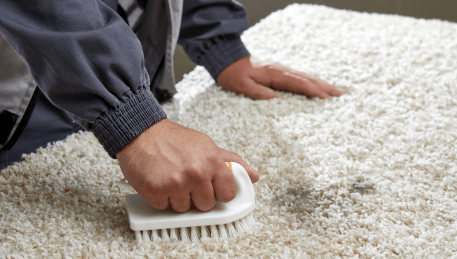 Professional Rug Cleaning Ingliston